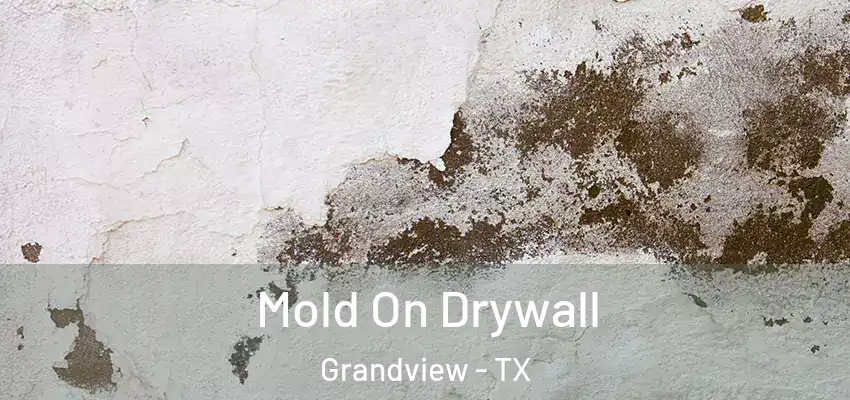  Mold On Drywall Grandview - TX