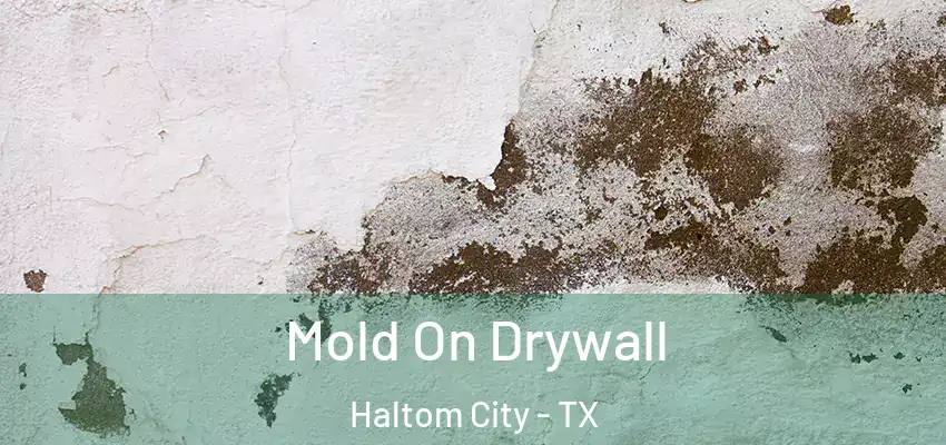  Mold On Drywall Haltom City - TX