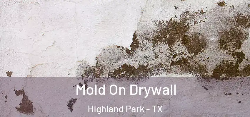  Mold On Drywall Highland Park - TX