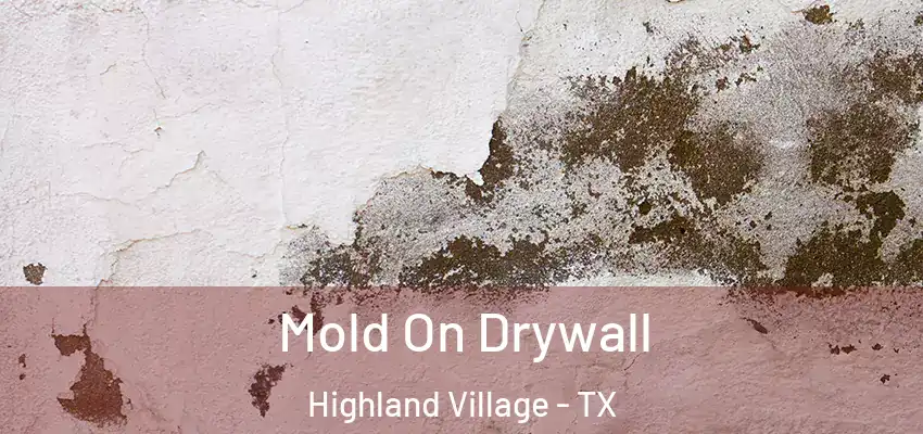 Mold On Drywall Highland Village - TX