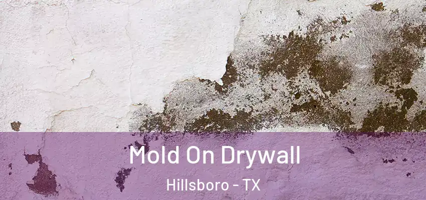  Mold On Drywall Hillsboro - TX