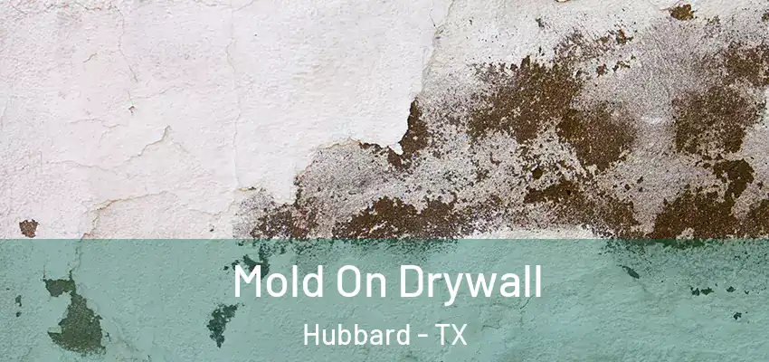 Mold On Drywall Hubbard - TX