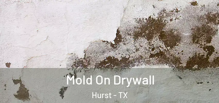 Mold On Drywall Hurst - TX