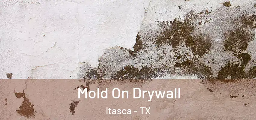 Mold On Drywall Itasca - TX