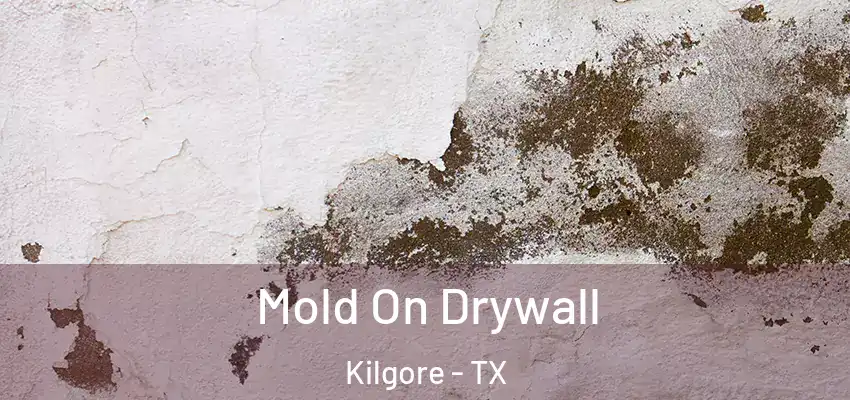 Mold On Drywall Kilgore - TX