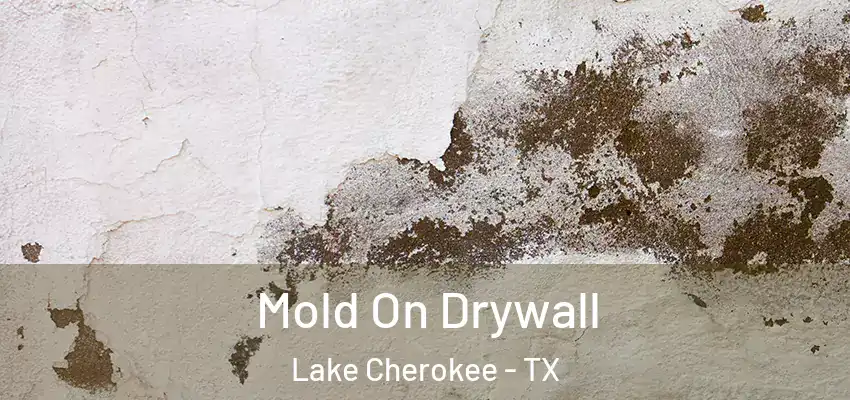 Mold On Drywall Lake Cherokee - TX