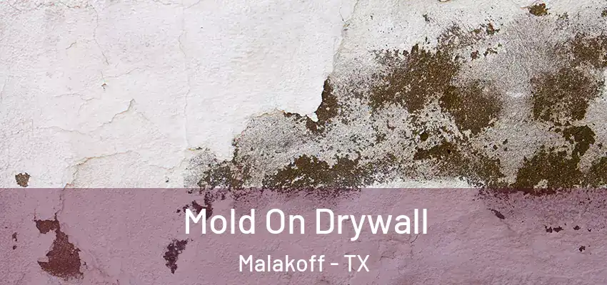  Mold On Drywall Malakoff - TX