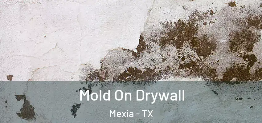 Mold On Drywall Mexia - TX