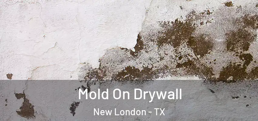  Mold On Drywall New London - TX