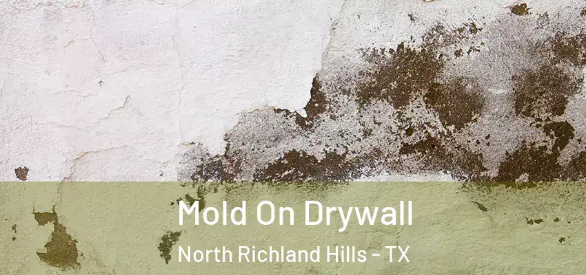 Mold On Drywall North Richland Hills - TX