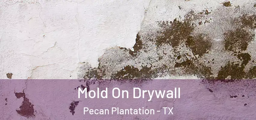  Mold On Drywall Pecan Plantation - TX