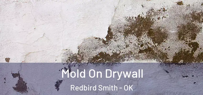  Mold On Drywall Redbird Smith - OK