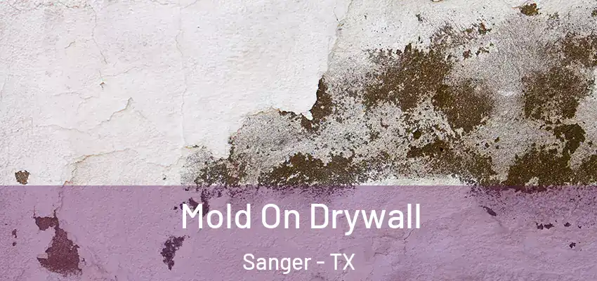  Mold On Drywall Sanger - TX
