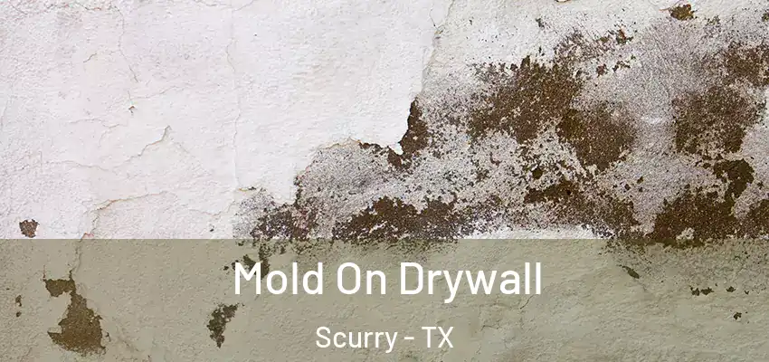  Mold On Drywall Scurry - TX