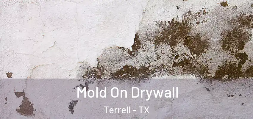  Mold On Drywall Terrell - TX