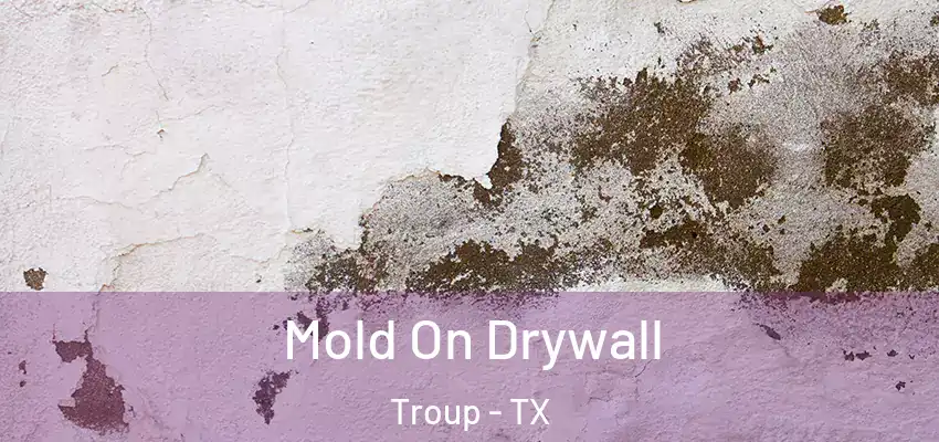 Mold On Drywall Troup - TX