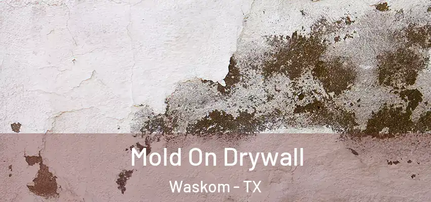  Mold On Drywall Waskom - TX