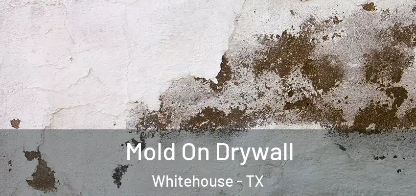  Mold On Drywall Whitehouse - TX