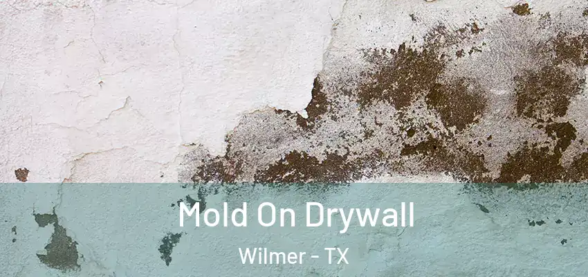 Mold On Drywall Wilmer - TX