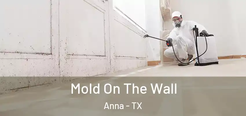 Mold On The Wall Anna - TX