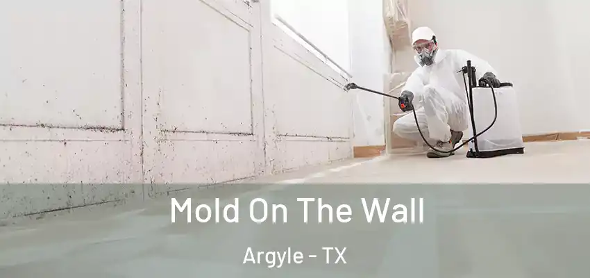 Mold On The Wall Argyle - TX