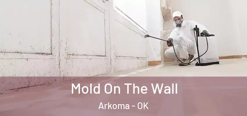  Mold On The Wall Arkoma - OK