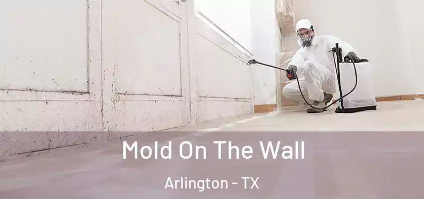  Mold On The Wall Arlington - TX