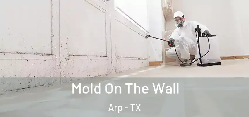 Mold On The Wall Arp - TX