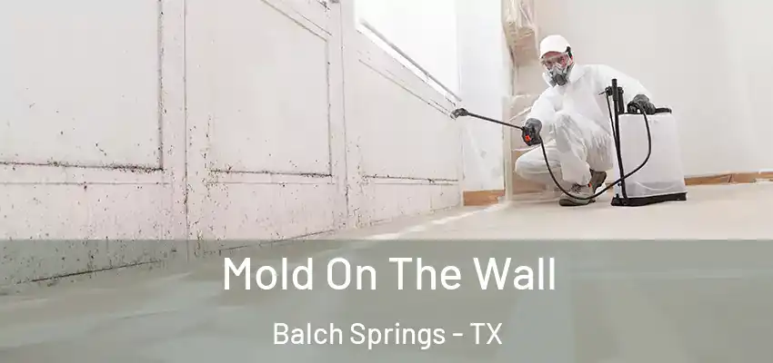 Mold On The Wall Balch Springs - TX