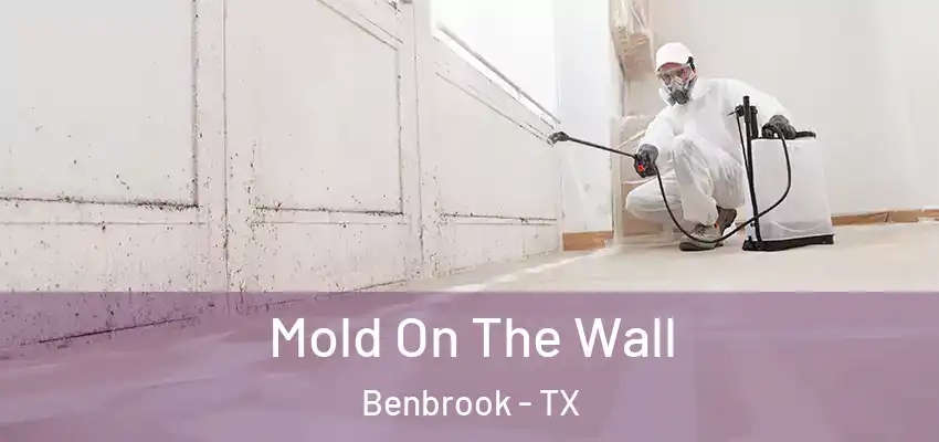  Mold On The Wall Benbrook - TX