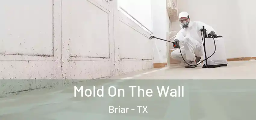  Mold On The Wall Briar - TX
