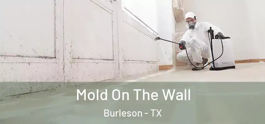 Mold On The Wall Burleson - TX