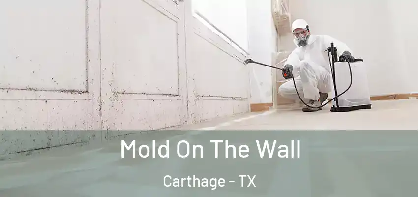  Mold On The Wall Carthage - TX