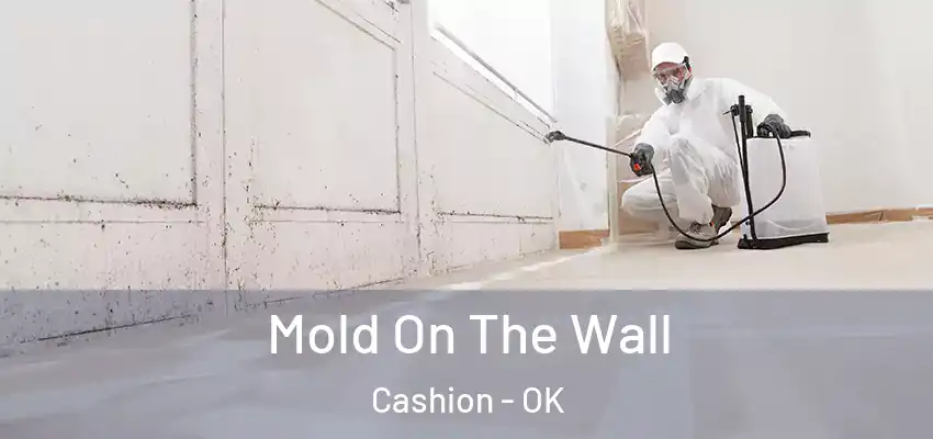  Mold On The Wall Cashion - OK