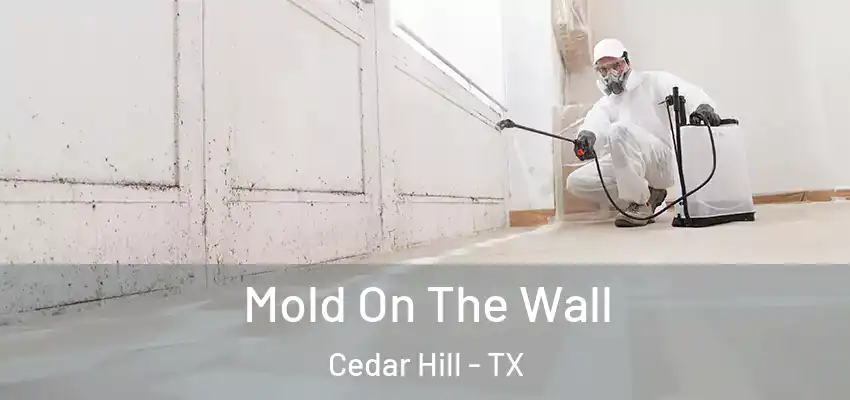 Mold On The Wall Cedar Hill - TX