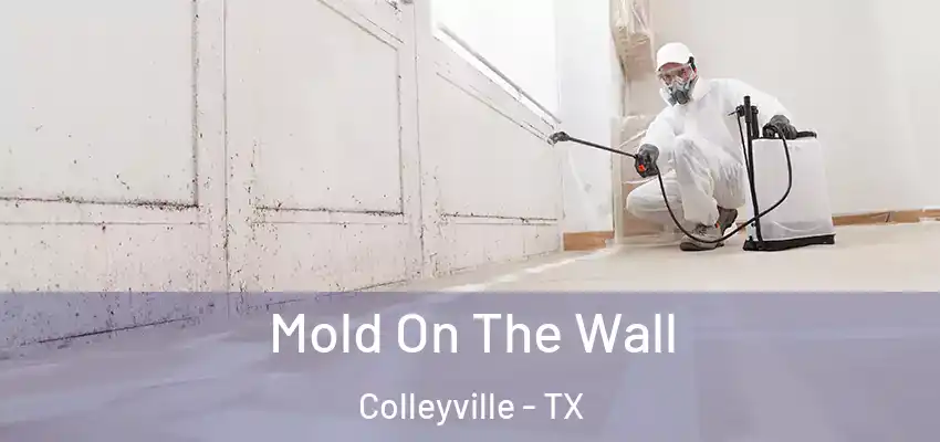  Mold On The Wall Colleyville - TX