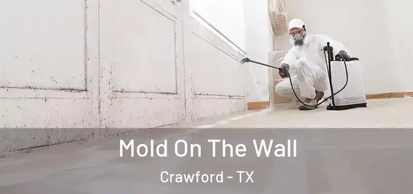 Mold On The Wall Crawford - TX