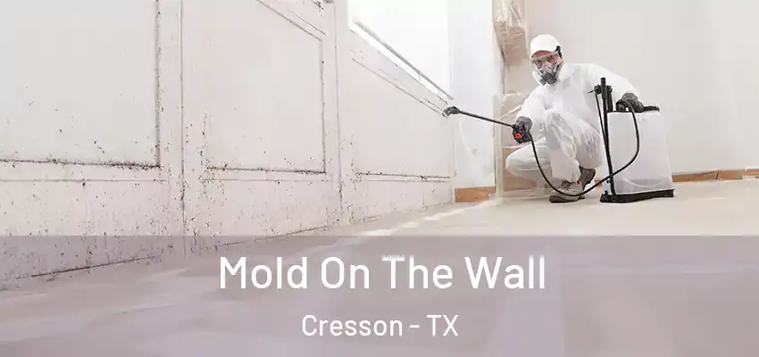  Mold On The Wall Cresson - TX