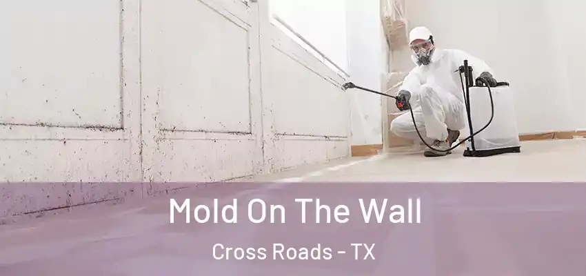  Mold On The Wall Cross Roads - TX