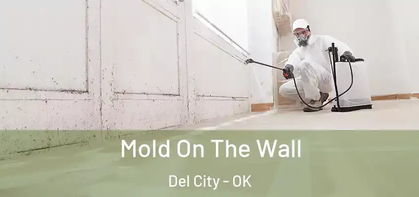 Mold On The Wall Del City - OK