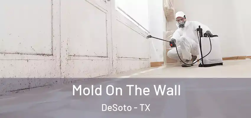  Mold On The Wall DeSoto - TX