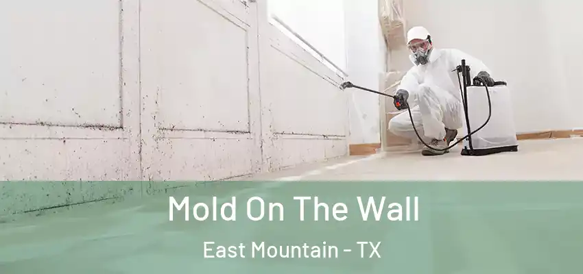 Mold On The Wall East Mountain - TX