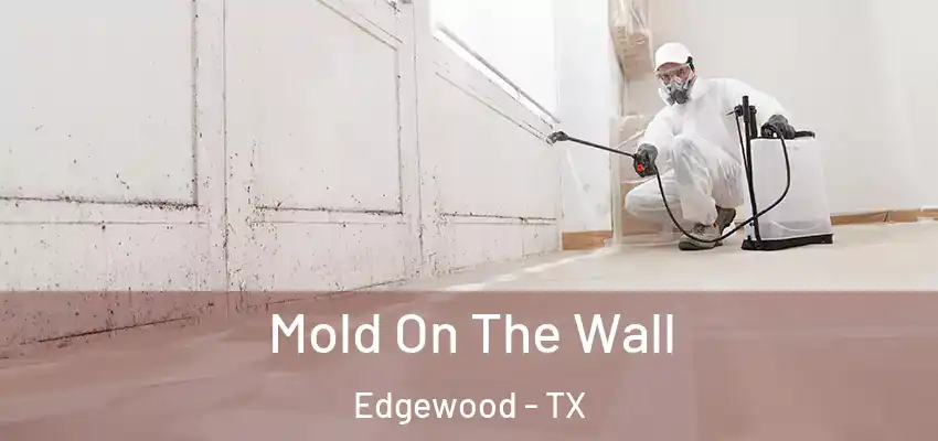 Mold On The Wall Edgewood - TX