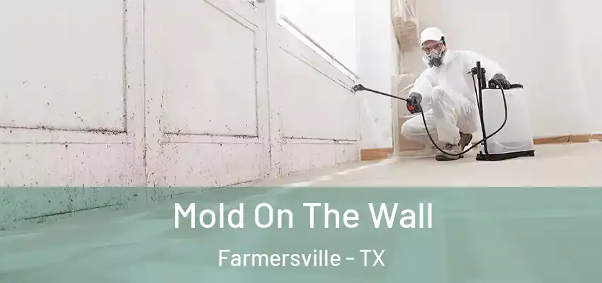 Mold On The Wall Farmersville - TX