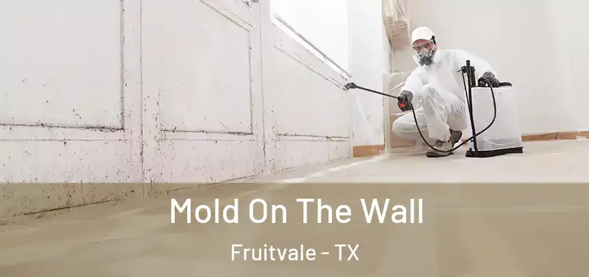 Mold On The Wall Fruitvale - TX