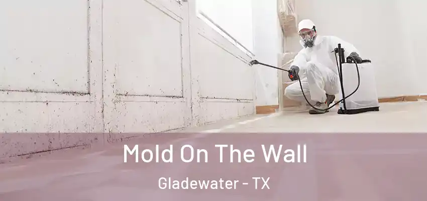  Mold On The Wall Gladewater - TX