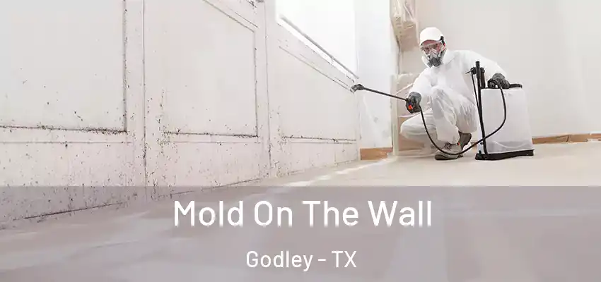  Mold On The Wall Godley - TX