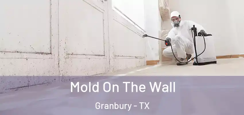 Mold On The Wall Granbury - TX