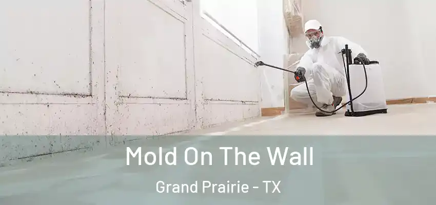  Mold On The Wall Grand Prairie - TX