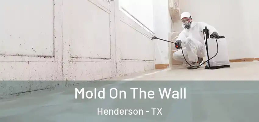 Mold On The Wall Henderson - TX